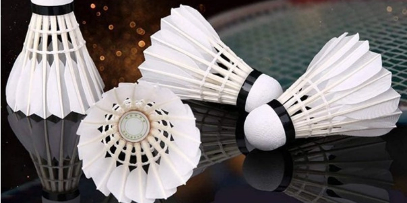 Thể Thức Đơn Nữ