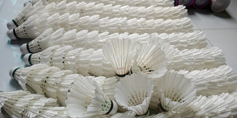 Thể Thức Đơn Nữ